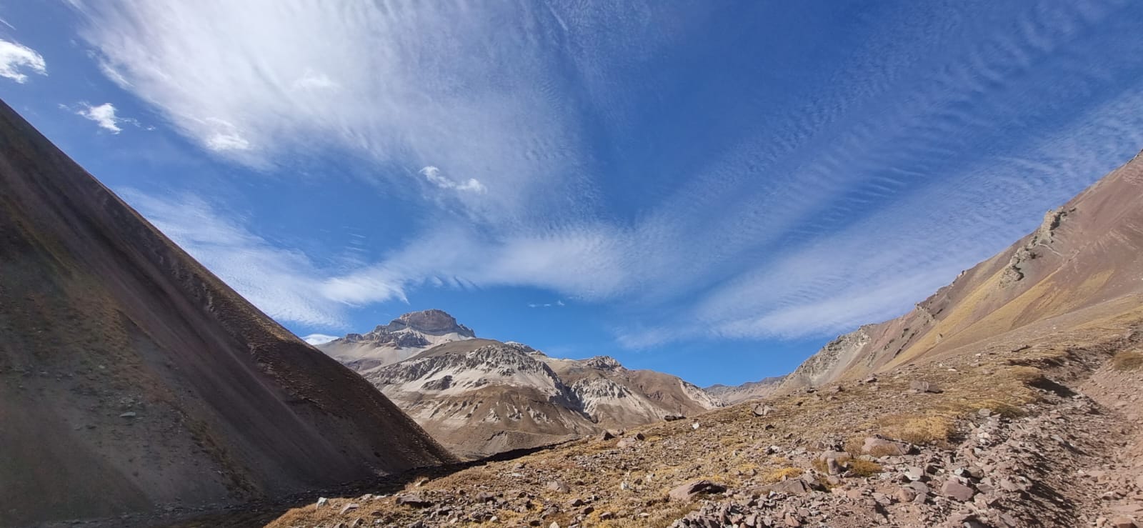 Glaciar Nieves Negras 5