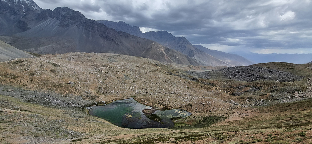 7arreboles Gallery 21